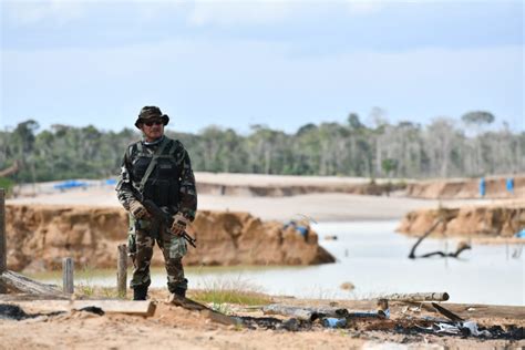 Per Monitoreo Satelital Muestra Que Madre De Dios Perdi M S De