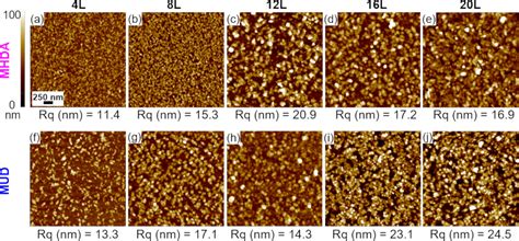 Impact Of Surface Functionalization And Deposition Method On Cu BDC