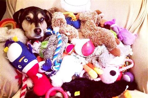 27 Signs Youre A Bit Of A Hoarder Hoarder Signs Bits