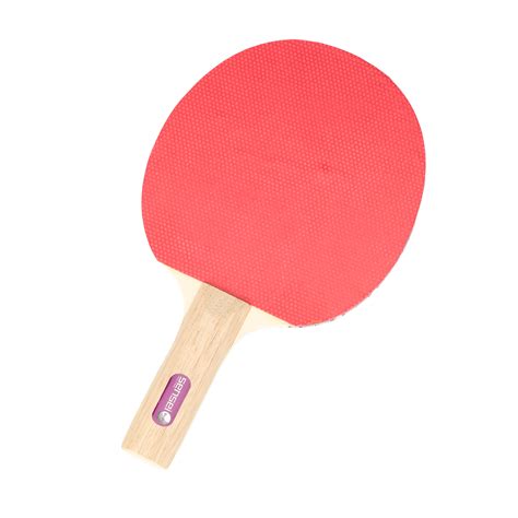 Paleta De Ping Pong Sensei Star Dexter