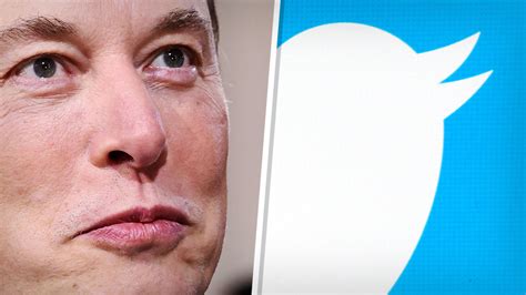 Elon Musk Is Now Chief Twit Here S What Could Be Next For Twitter