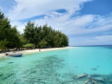 Menikmati Pesona Bawah Laut Raja Ampat UPDATE October 2024