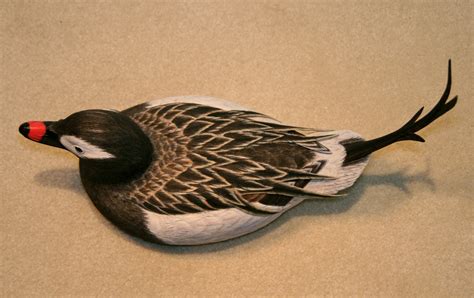 Duck Season: LONG-TAILED DUCK in breeding plumage