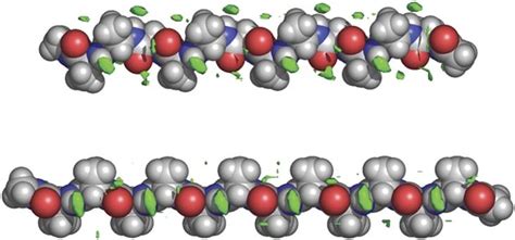 A Novel Method Reveals That Solvent Water Favors Polyproline Ii Over