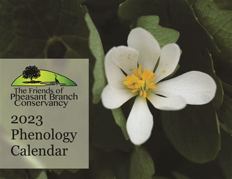 The 2023 Phenology Calendar is now available! - Friends of Pheasant Branch Conservancy