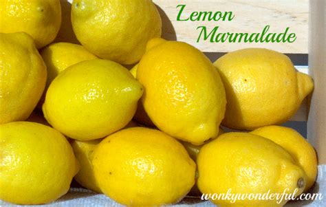 Lemon Marmalade - WonkyWonderful