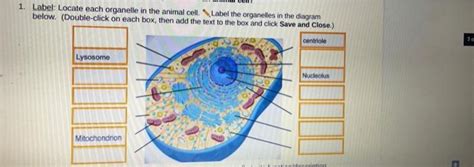 Solved 1. Label: Locate each organelle in the animal cell. | Chegg.com