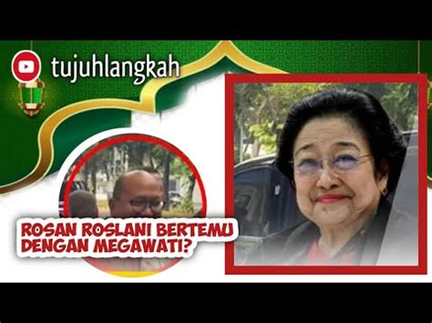 Tanggapi Pertemuan Rosan Roslani Dirumah Megawati Hasto Kristiyanto