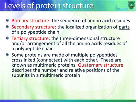 Ppt Protein Structure Powerpoint Presentation Free Download Id9720761