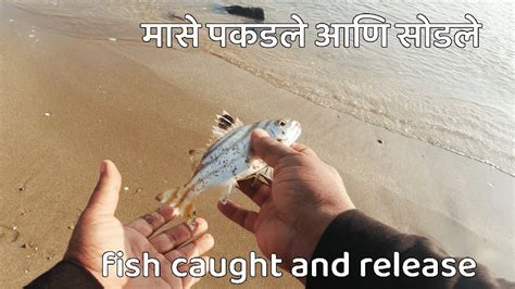 मासे पकडले आणि सोडले Fish Caught And Released Youtube