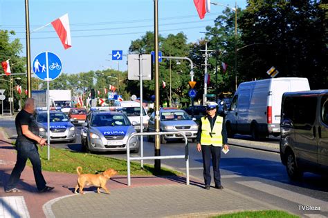 Tvsleza Dzier Oni W Ucieczka Po Miertelnym Potr Ceniu Pieszego