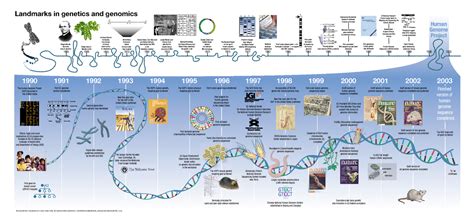 Hgp Timeline Genetics M Gc Landmarks In Genetics And Genomics 4 U C A G G A T C Us National