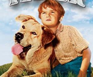 Old Yeller Movie Rating & Info