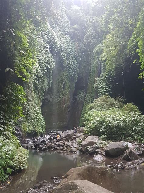 Jungle Waterfalls stock image. Image of tropical, water - 2902985