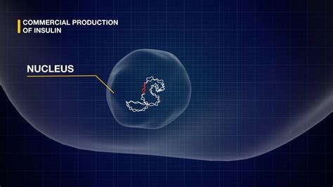 Bbc Bitesize Biology N5 Genetic Engineering On Vimeo