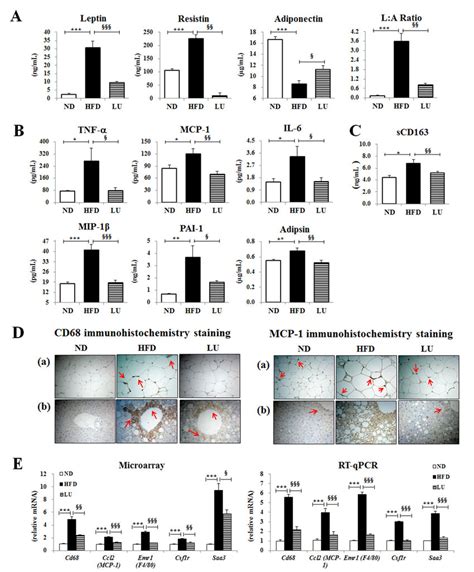 Effect Of Luteolin Treatment For 16 Weeks On The Plasma Download Scientific Diagram