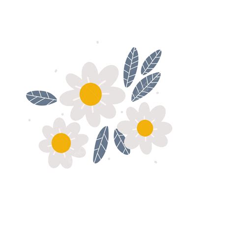 Daisy Flowers With Leaves Daisies Illustration Daisy Flowers Daisy