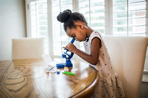 Discover the best microscopes for kids in 2024 - BBC Science Focus Magazine