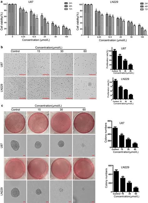 Compound 1h Reduces Cell Proliferation And Viability Of Human