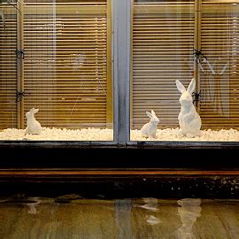 Year Old Hot Spring The Official Webpage For Oyado Ikegami Hokuriku Toyama Prefecture