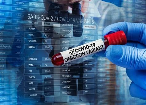 Subvariante In Dita Do Coronav Rus Identificada Em S O Paulo