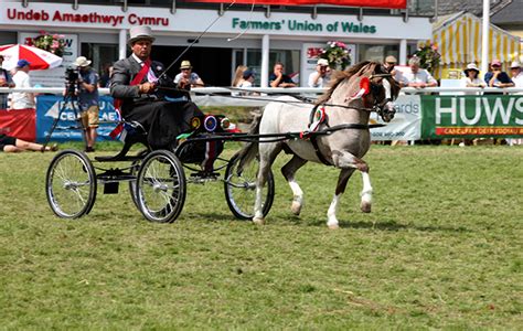 Royal Welsh Highlights 9 Superb Winners Who Reigned At The Legendary