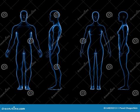 X Ray Human Male Female Body Anatomy Concept Stock Illustration Illustration Of Naked Black