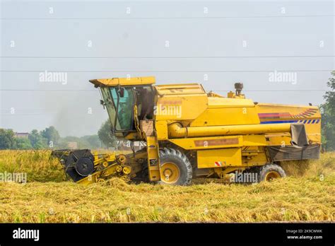 Combine harvester in the rice field Stock Photo - Alamy