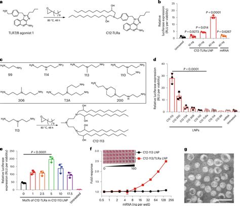 Synthesis And Characterization Of Lipidoids And Lnps A Synthesis Of