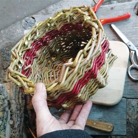 A Person Is Holding A Basket Made Out Of Woven Material And Scissors