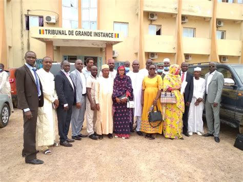 Tchad Des Membres De Lordre National Des Ingénieurs Civils Ont Prêté