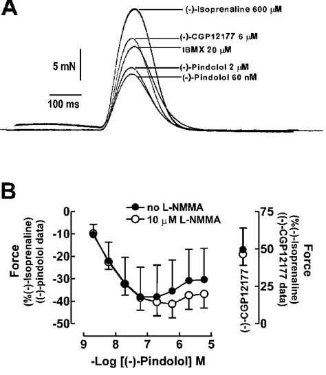 A B Cardio Depressant And Stimulant Effects Of Pindolol On Human Download Scientific