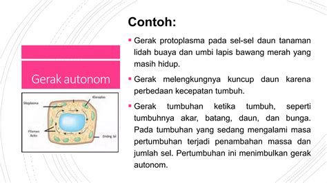 Daring Ipa Kelas Sistem Gerak Makhluk Hidup Gerak Tumbuhan Ppt