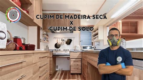 DIFERENÇA ENTRE CUPIM DE SOLO E CUPIM DE MADEIRA SECA YouTube