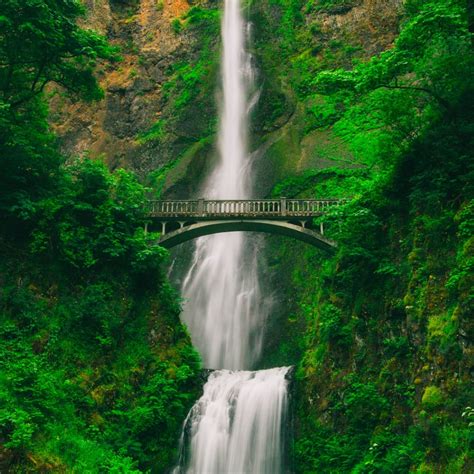 Waterfall Quotes To Inspire The Perfect Instagram