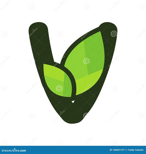 Charming Initial V Leaf Logo Stock Vector Illustration Of Design