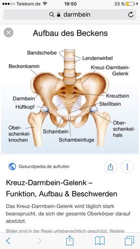 Bewegungsapparat Karteikarten Quizlet