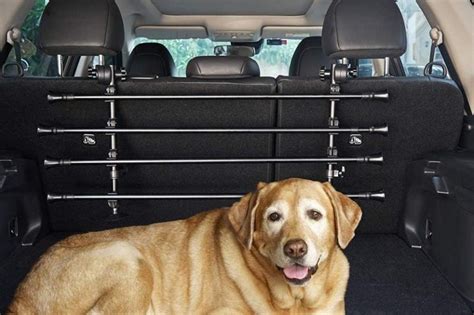 Comment trouver la meilleure barrière de voiture pour chien