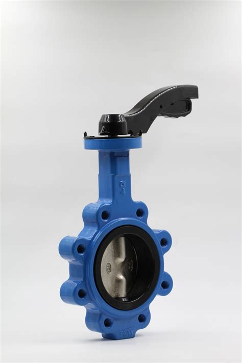 Manufacturing Manual Ductile Cast Iron Lug Type Butterfly Valve Price