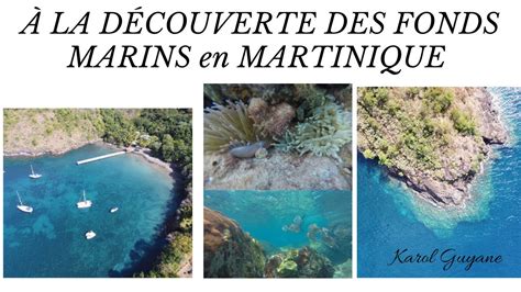 La D Couverte Des Fonds Marins En Martinique Youtube