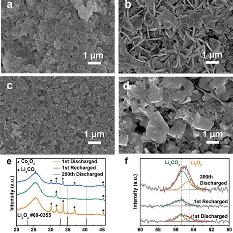 Sem Images Of The Fepc N Cds Co O Cathode At Different States A