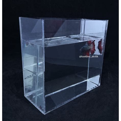 Jual Aquarium Mini Akrilik Soliter Ikan Cupang Soliter Akrilik