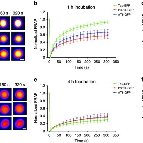 Pdf Liquid Liquid Phase Separation Induces Pathogenic Tau