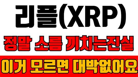 리플 정말 소름끼치는 진실 이거 모르면 대박 없어요 리플 Xrp Youtube