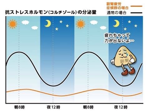 副腎疲労度と甲状腺機能低下の関係 京橋ウェルネスクリニック（宮澤医院）