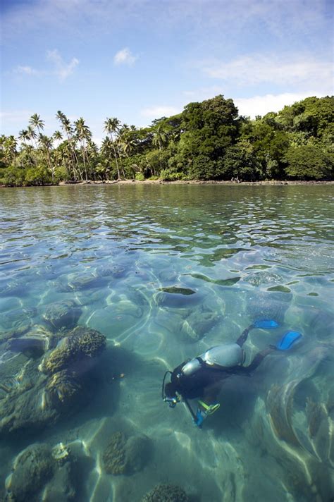 J Hunter Pearl Farm Savusavu Vanua Levu Fiji Fiji Pearls