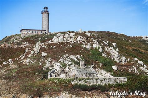 Les Sept Îles L Archipel Aux Oiseaux Lalydo s Blog