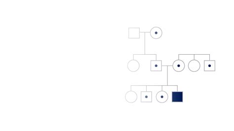 Recessive Gene Examples