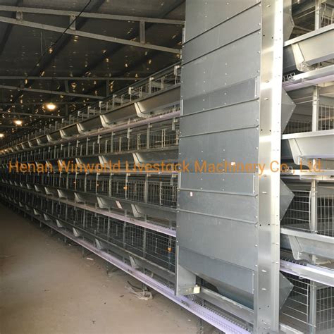 Automatic Laying Hen Egg Layer Battery Cages H Type Chicken Cages