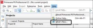 Whats New In Oracle Primavera P6 PPM Professional Version 22